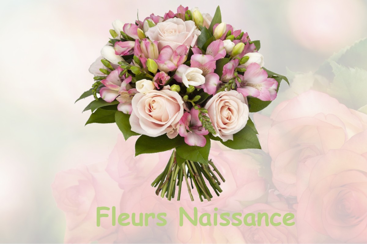 fleurs naissance LOUROUX-DE-BOUBLE